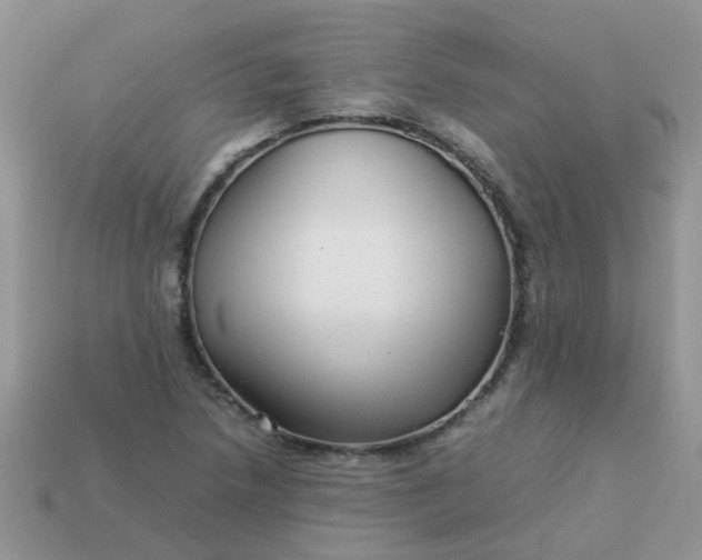 X0000113041218200909101911