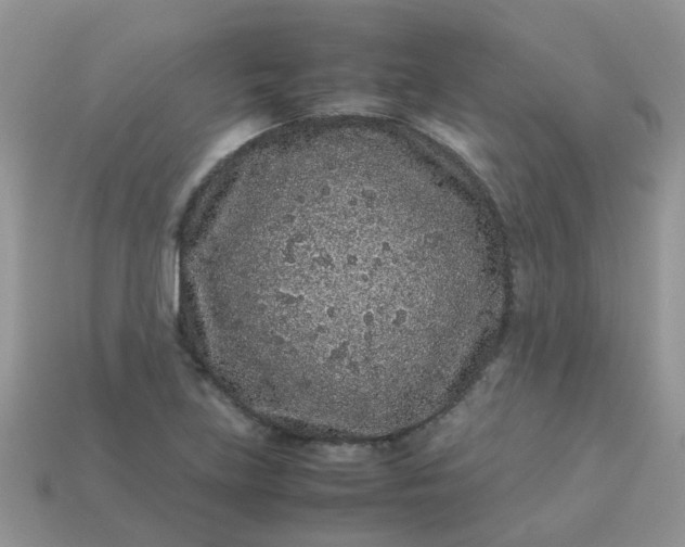 X0000113041219200909101911