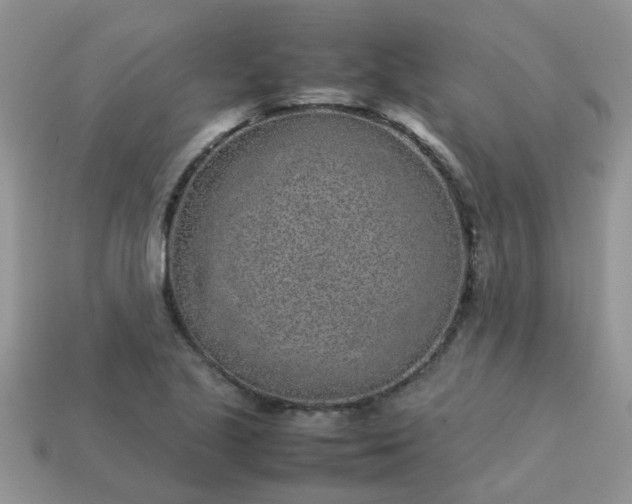 X0000113041221200909101911