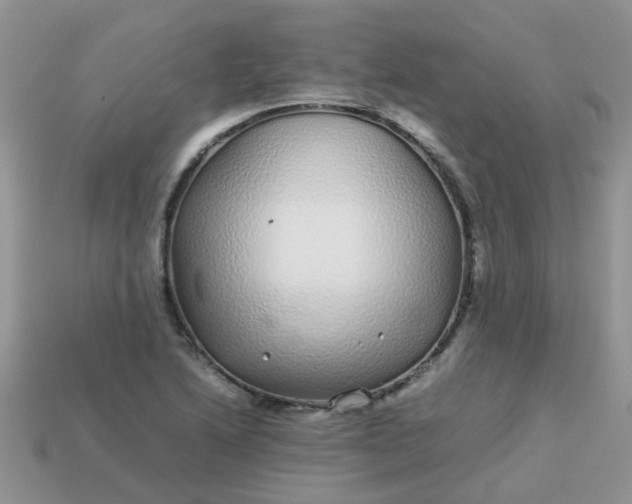 X0000113041222200909101911