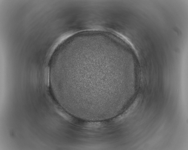 X0000113041223200909101911