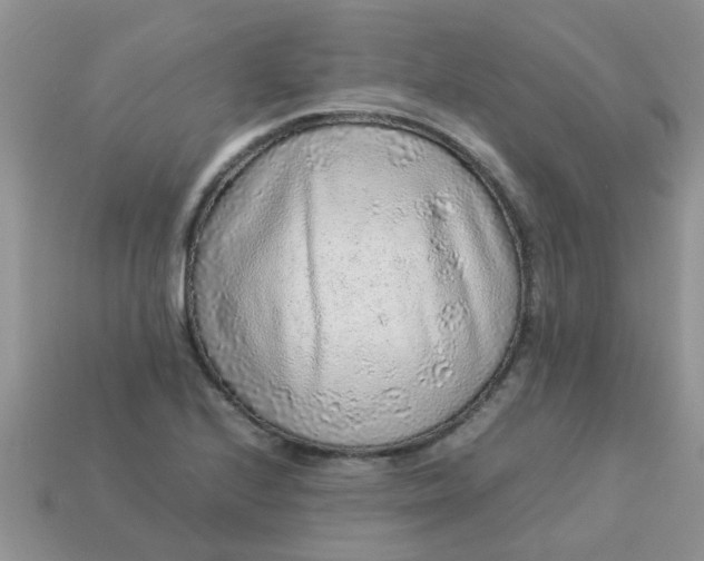 X0000113041224200909101911