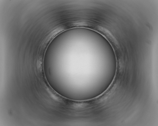 X0000113041225200909101911