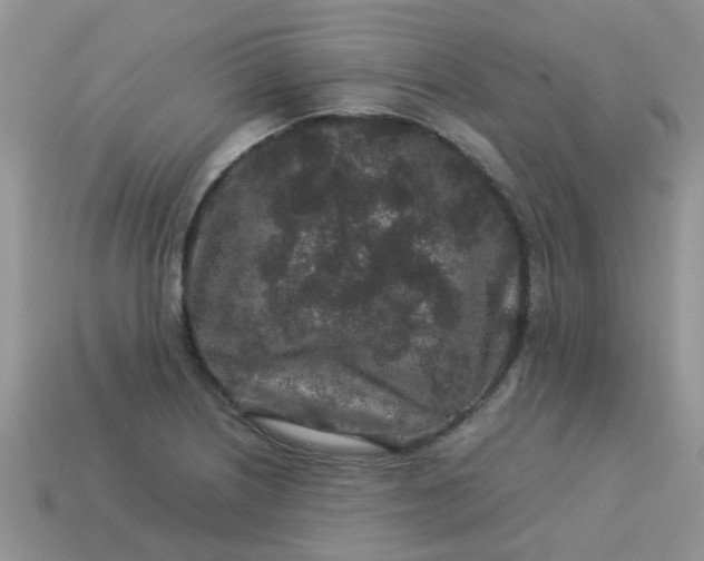 X0000113041226200909101911