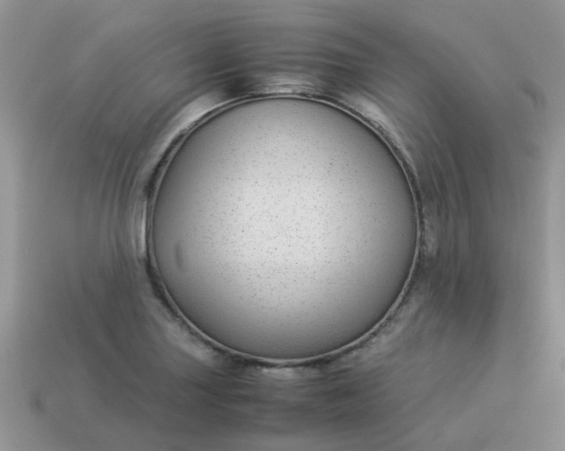 X0000113041227200909101911