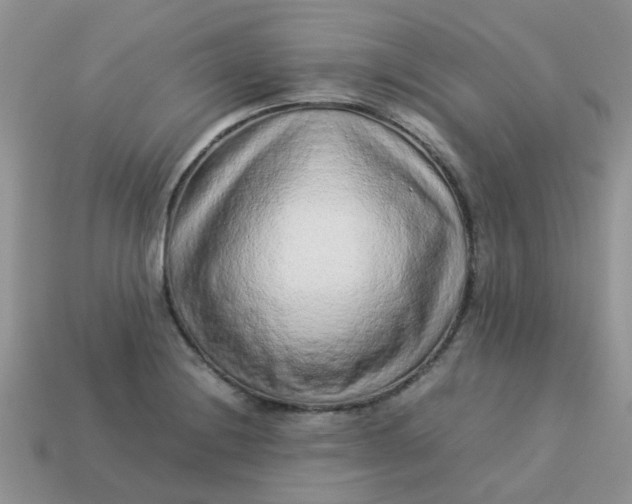 X0000113041228200909101911