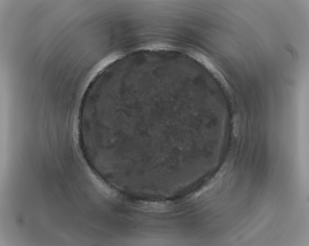 X0000113041229200909101911
