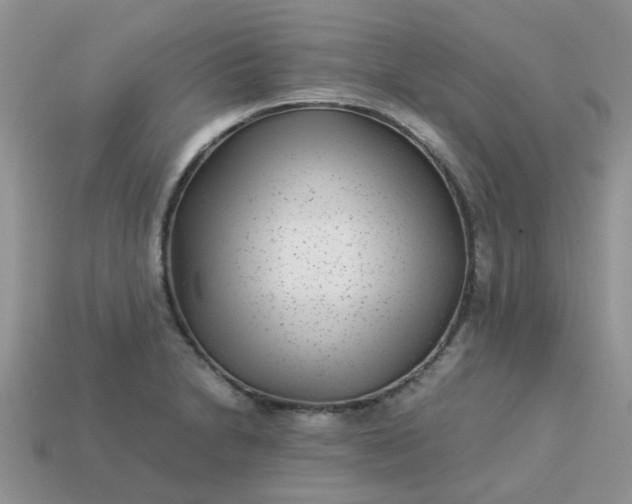 X0000113041230200909101911