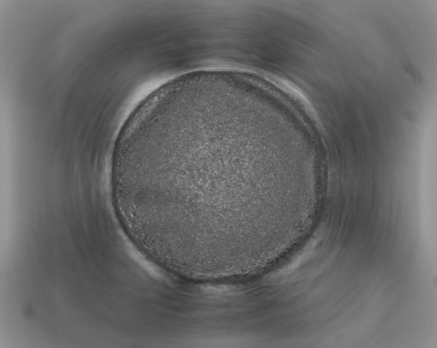 X0000113041231200909101911