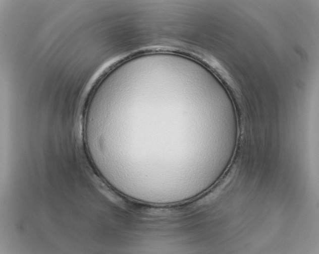 X0000113041232200909101911