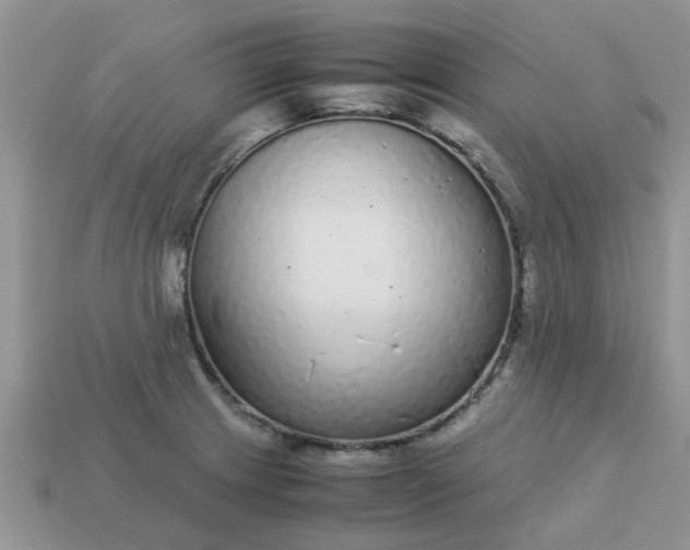 X0000113041233200909101911