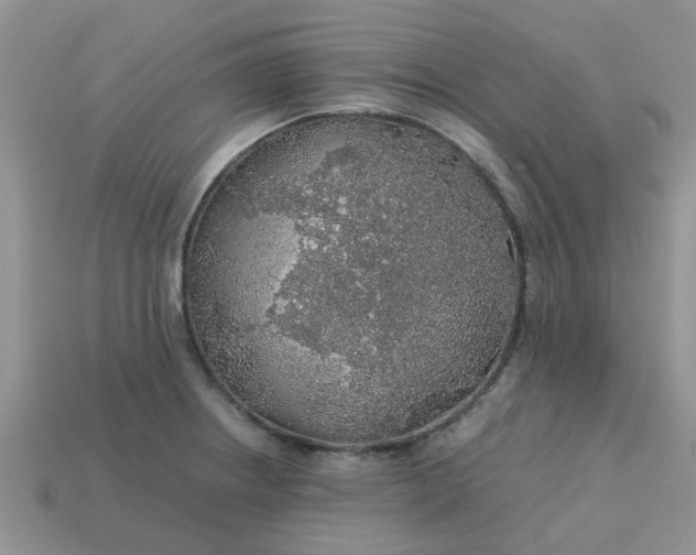 X0000113041234200909101911