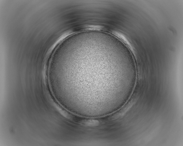 X0000113041235200909101911