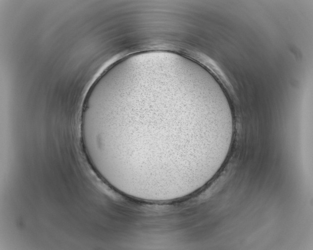 X0000113041236200909101911