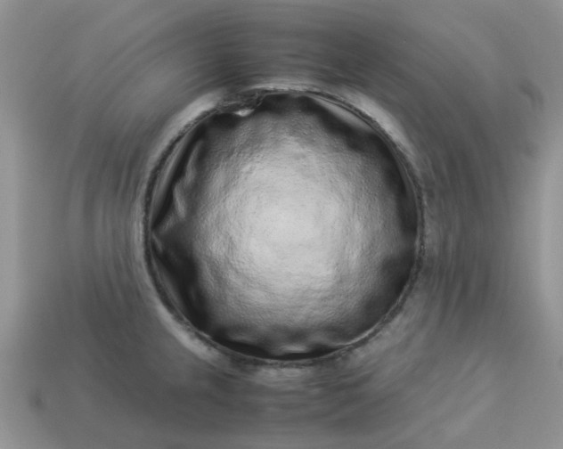 X0000113041237200909101911