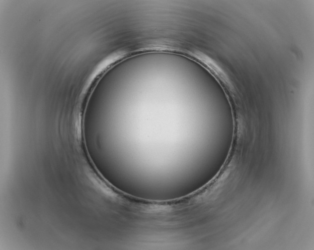 X0000113041238200909101911