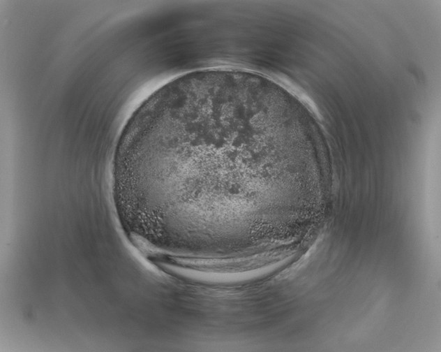 X0000113041239200909101911