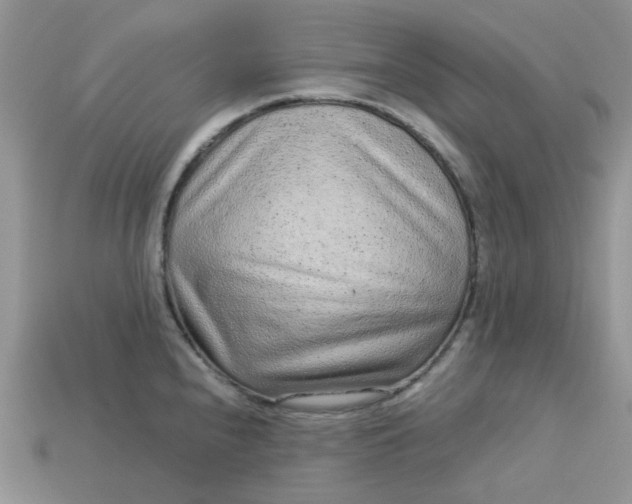 X0000113041240200909101911