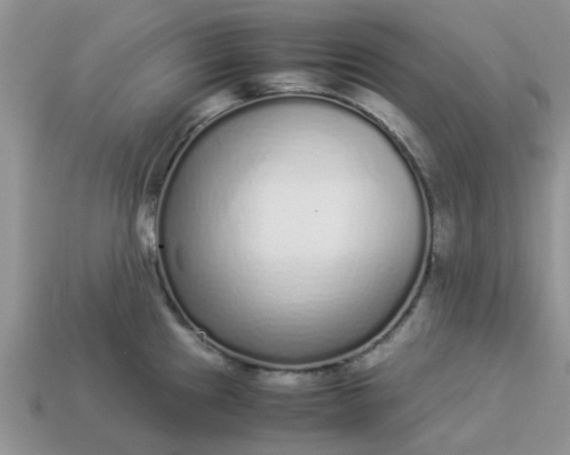 X0000113041241200909101911