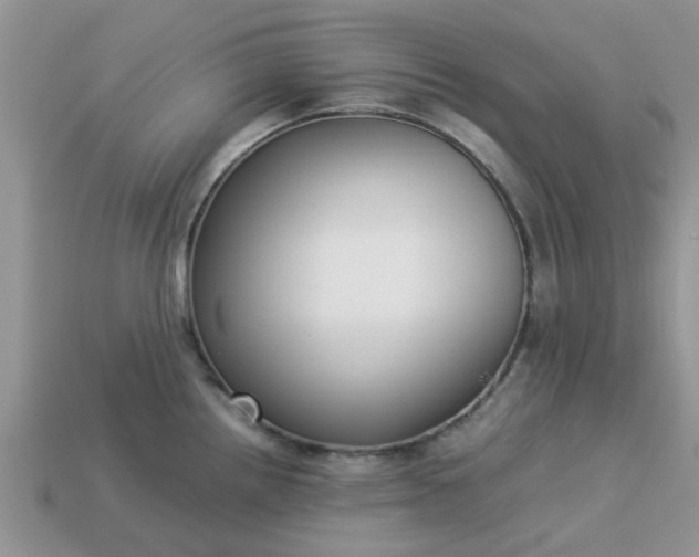 X0000113041242200909101911