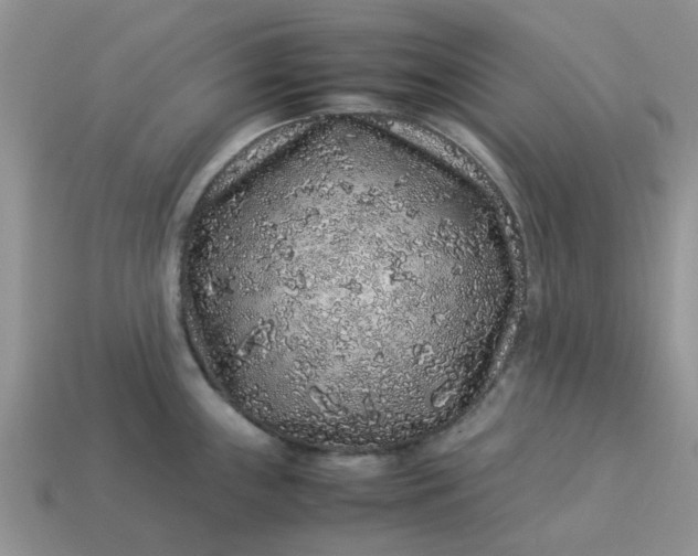 X0000113041243200909101911