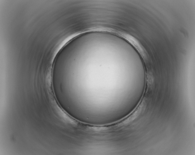 X0000113041244200909101911