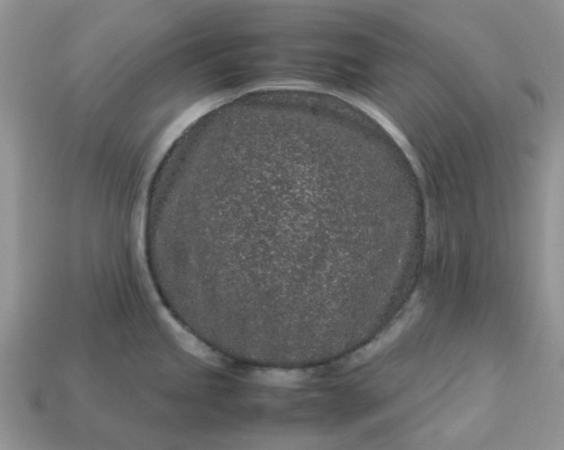 X0000113041245200909101911