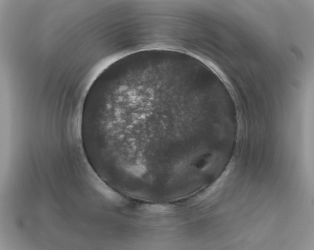 X0000113041246200909101911