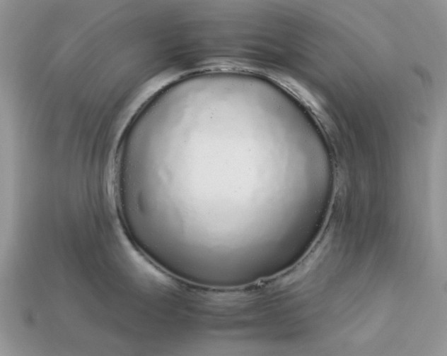 X0000113041247200909101911