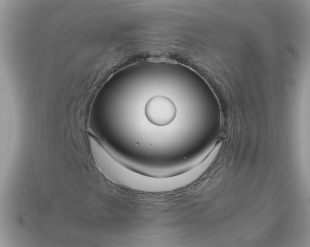 X0000113041249200909101911
