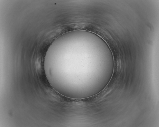 X0000113041250200909101911