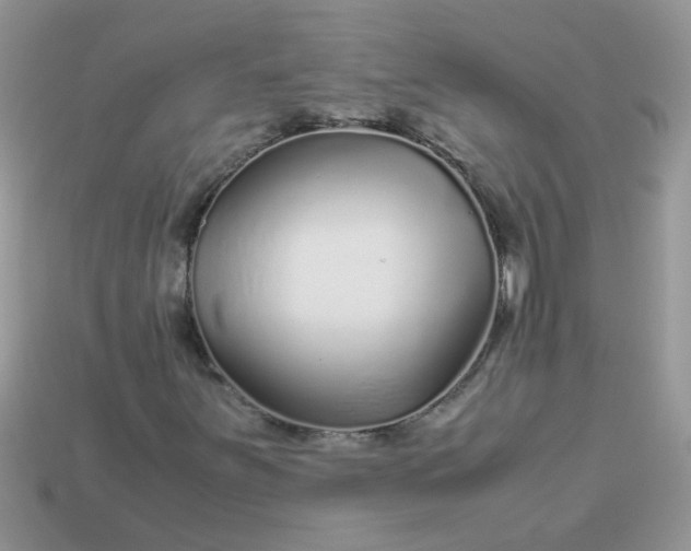 X0000113041251200909101911
