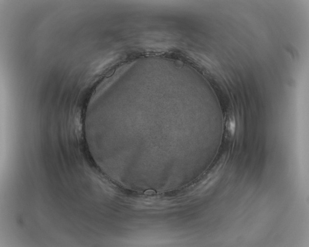 X0000113041252200909101911