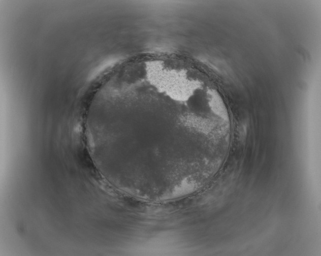 X0000113041254200909101911