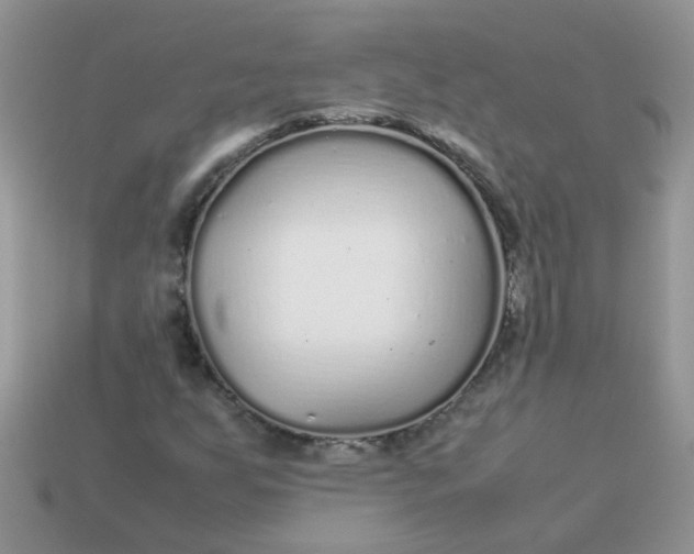 X0000113041255200909101911