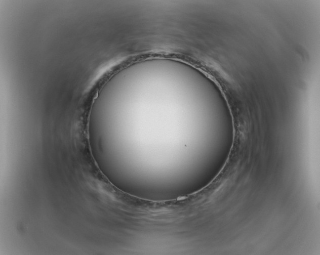 X0000113041256200909101911