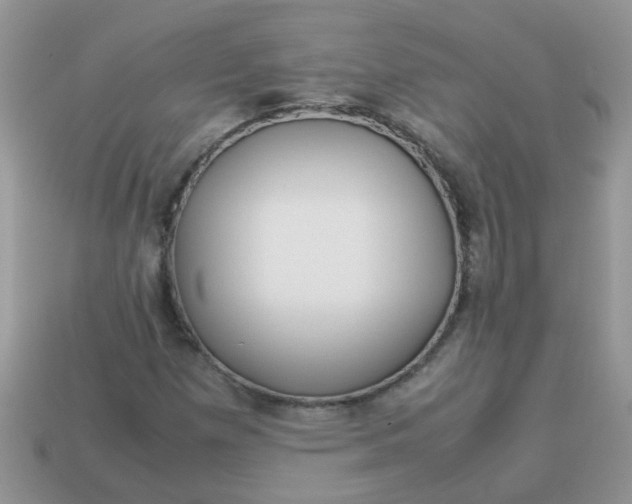 X0000113041257200909101911