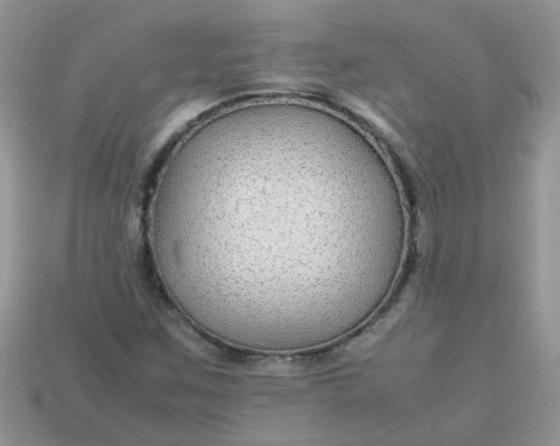 X0000113041259200909101911