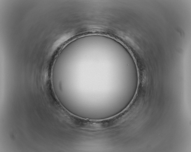 X0000113041261200909101911