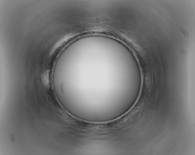 X0000113041262200909101911