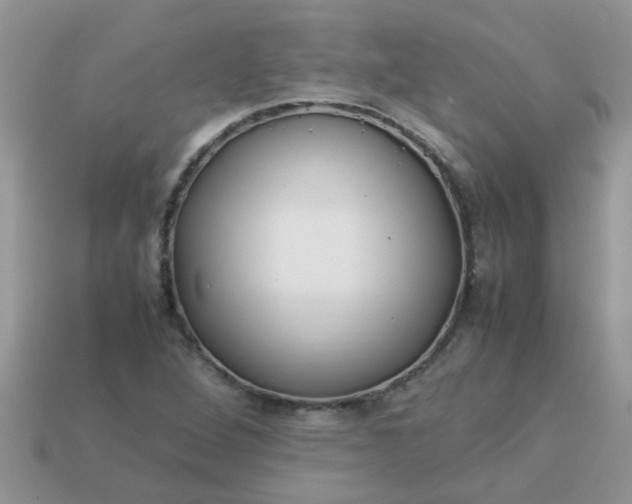 X0000113041264200909101911