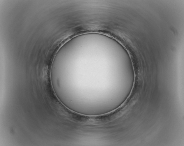 X0000113041265200909101911