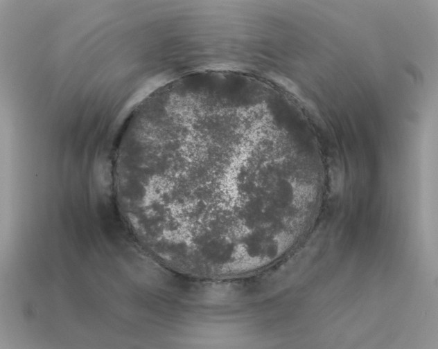 X0000113041266200909101911