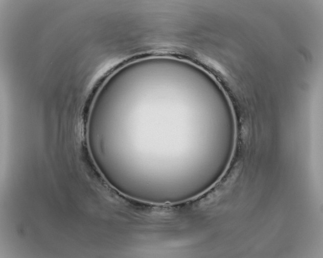 X0000113041267200909101911
