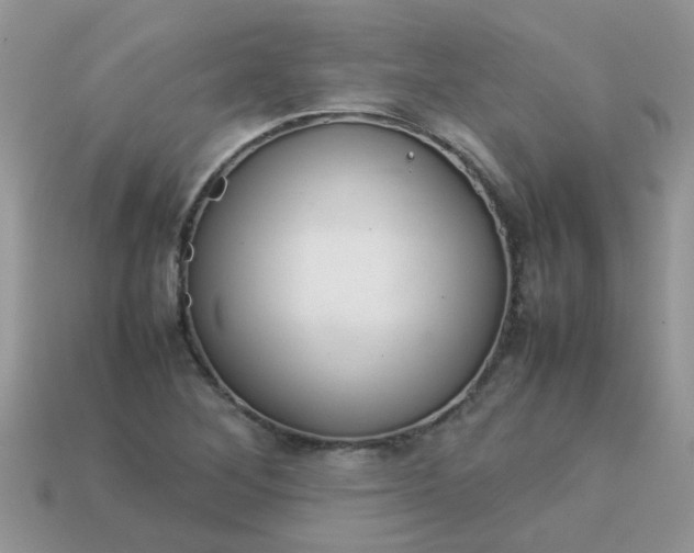 X0000113041268200909101911