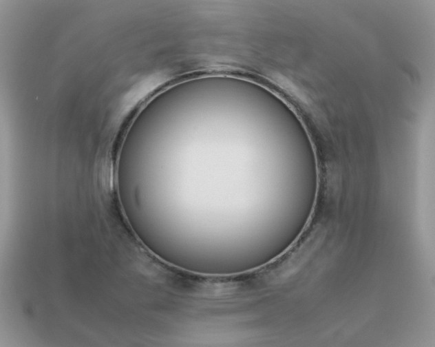 X0000113041269200909101911