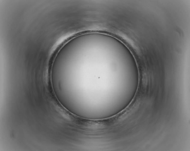 X0000113041270200909101911