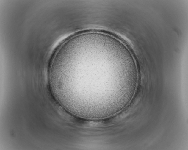 X0000113041271200909101910