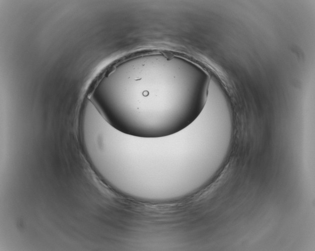 X0000113041272200909101910