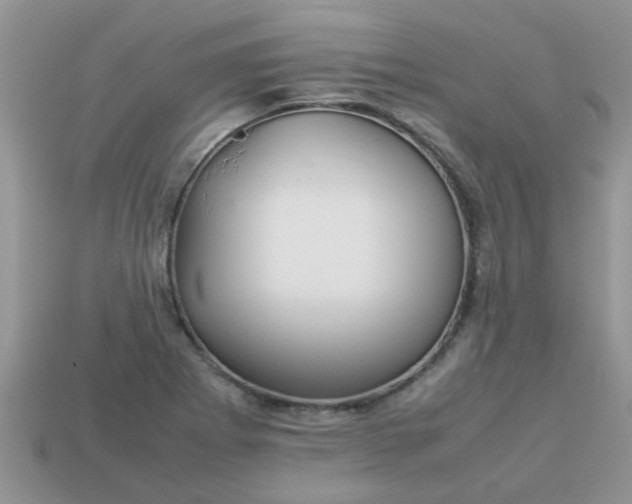 X0000113041273200909101910